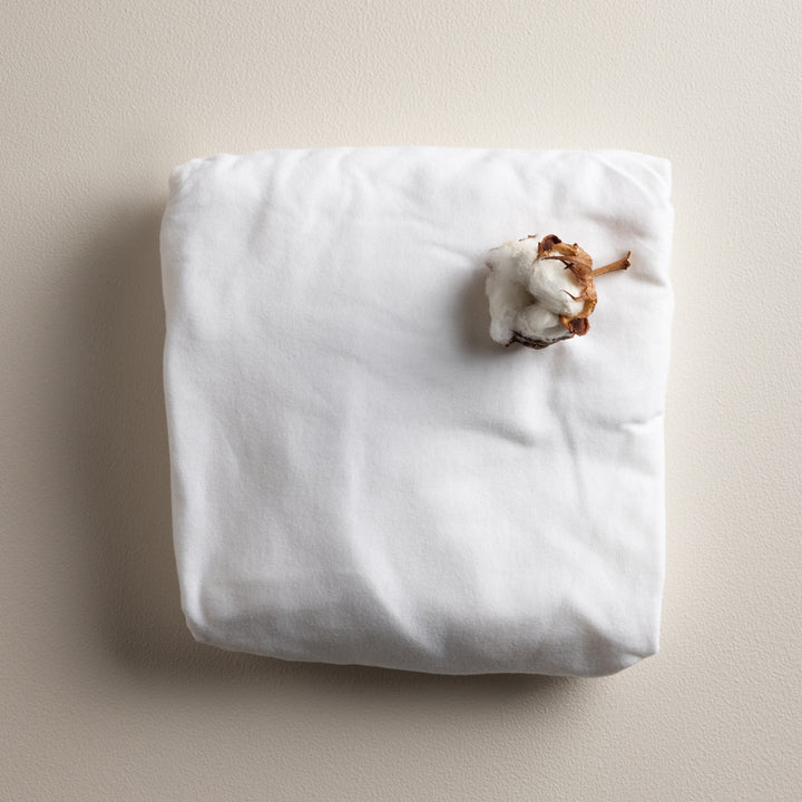 Sebra lak, Baby, Classic White