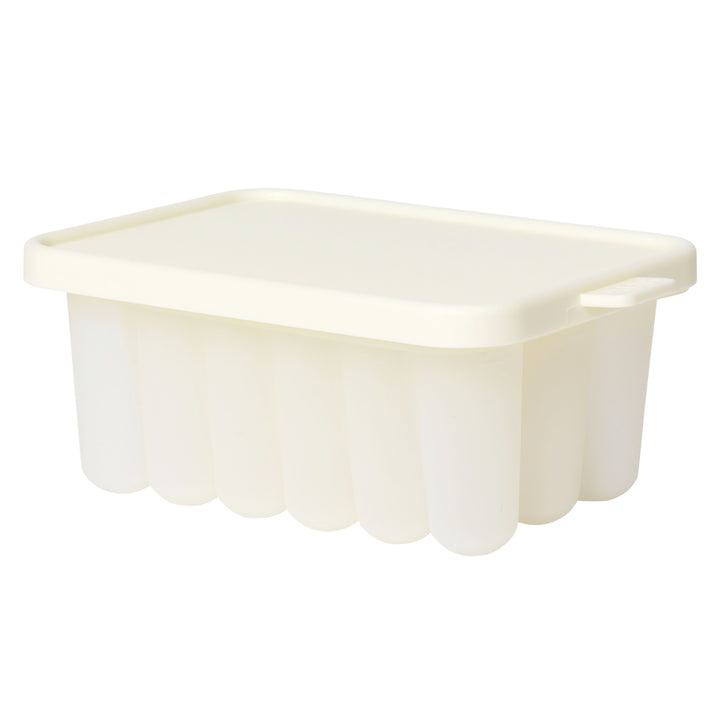 Food Freezer Tray