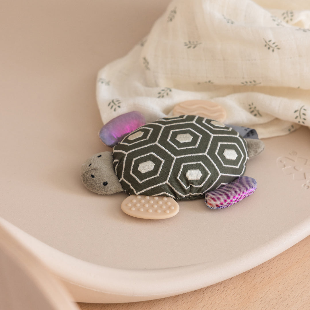 Turbo the Turtle rangla
