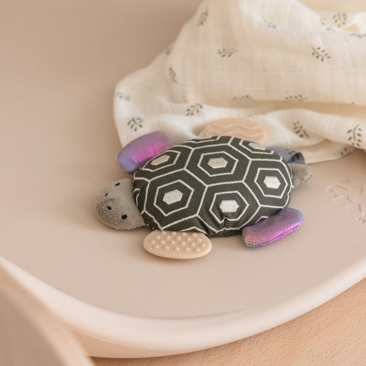 Turbo the Turtle rangla
