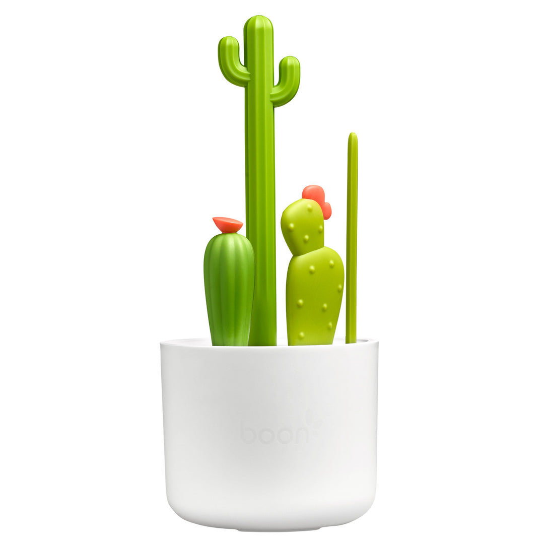 Cacti fløskubust