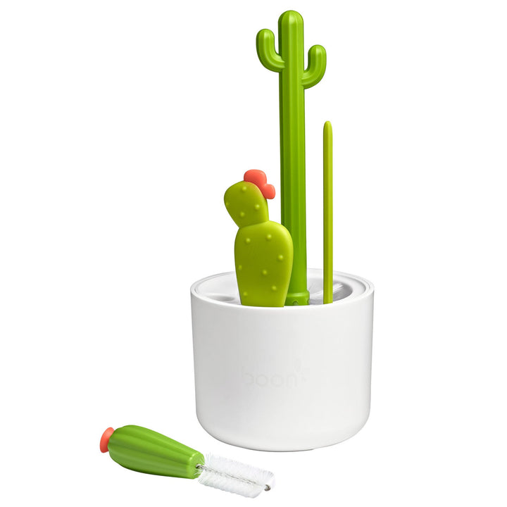 Cacti fløskubust